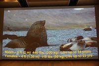 
DSC00198